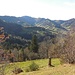 ...zum Schnebelhorn,...