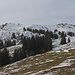 Höllritzer Eck und Bleicherhorn von der Höllritzer Alpe