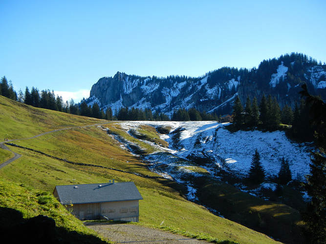 Die Wildmoosalpe vor dem Hinteregger Grat. Fotos