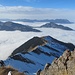 der lange Haldigrat - mit Gipfelfelsen