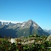 oberhalb Alp Oberchäseren mit Blick zum Bristen, rechts im Hintergrund der Galenstock