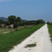 Radweg in einer typischen italienischen Landschaft