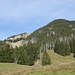 Rutschgebiet - und in Mitleidenschaft gezogener Schutzwald ...