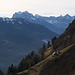Laubegg: Einmalig schön gelegene Alp hoch über Quinten und dem Walensee