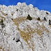 Die Stöllen, mehrere Felszacken auf dem Grat der nördlichen Alpsteinkette. Wir überschritten sie anschliessend im Bild gesehen von rechts nach links.