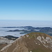 Blick über den Hauptgipfel der Marwees auf das schier unendliche Nebelmeer, aus dem nur noch die Hügel des Appenzellerlandes herausragen
