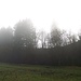graisliger Nebel
