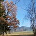 Blick zum Stierkopf - da mogi i heit no nauf