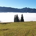 Der greislige Nebel ist hinter mir