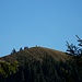 Erster Blick zum Stierkopf
