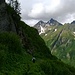 Ripida discesa dall' Alpe Ghighel