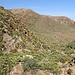 im Abstieg durch das schöne Barranco Requena