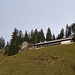 der Alp Feld entgegen - sachte wird's etwas heller
