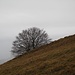 Dorsale Monte Rai