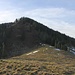 Nordhang des Kleinen Ochsenkopfs vom Mitteralpenkopf