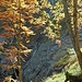 Wunderschöne Herbstfarben im Hinteren Kraxenbachtal.