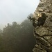 Erste Kletterpassgen im Nebel