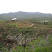 Vor 2 Jahren war in dieser Gegend ein gewaltiger Waldbrand. Die Pinien im Hintergrund haben sich recht gut erholt.