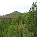 Gepflegte Landschaft