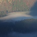 [http://f.hikr.org/files/1630806.jpg Nebeltreiben im / muovimenti della nebbia nel Graswangtal]