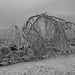 Baum ächzt unter der Schneelast am Botrange