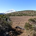 im Vordergrund die Montaña de las Arenas (2‘346 m) 