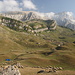 Unterwegs bei Laza - Ausblick von einer Anhöhe etwa südlich von Laza. Typische Szenerie im Östlichen Kaukasus: Herrliche Berglandschaft und meist eine Schafherde in Sichtweite.