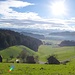 Viele schöne Wohnlagen hier.