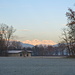 I Mischabel dalla Ciclabile del Lago di Varese: là neve, qua brina.