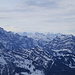 Gebänderte Nordflanken, hinten leuchten die Gipfel der Zentralschweizer und Berner Alpen in der Sonne