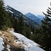 Ausklang eines lauen Dezembertages - Abstieg nach Rauth durch vorwinterlichen Bergwald..
