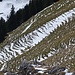 Schneestrukturen an den steilen Grashalden der Alp Sigel.