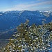 Blick über das Hintere Sonnwendjoch zu Rofan und Karwendelgebirge.