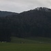 Mein erster Hügel der Wanderung ist der P.718m auf dem ein prähistorischen Steinwall steht. Dahinter kuckt der Homberg (897m) hervor