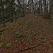 Der prähistorische Steinwall östlich von P.718m. Er steht wie P.718m im Wald namens "Woll"