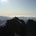 Super Panorama auf dem Gipfel, und während der gemütlichen, 1-stündigen Rast können wir den Fortschritt zweier Alpinisten auf dem Verbindungsgrat zum Lauteraarhorn beobachten.