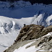 Ein Grindelwaldner Bergführer mit Gast im Abstieg über die Rippe von der Schulter. In der oberen Bildhälfte der Schreckfirn, über welchen der Aufstieg verläuft.