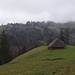 auf Harzer - mit Blick zum Süessegg-Südgipfel, Lindenschwandfluh und Kessisbodenalp