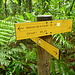Trail Signs