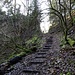 den schönen Aufstieg kennen wir seit [http://www.hikr.org/tour/post88055.html dieser Tour] ;-) ...