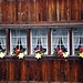 Weihnachtsdekoration in Appenzell