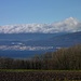 Blick Richtung Neuchâtel. 