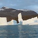 ancora iceberg sempre più grandi