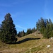 Bei Schwändli. 