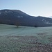 La Montagne des Princes près de Vens