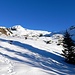 Il <i>tiro</i> verso l' Alpe di Vignone