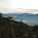 Noch etwas dunstiger Ausblick in den Schwyzer Talkessel im Aufstieg zum Gniepen.