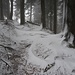 kleine Spiele des Windes mit Schnee vor der Hornbachegg