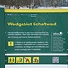 Waldbenutzungsbedingungen als Zeichen deutscher Vollkasko-Mentalität