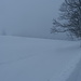 Schnee, Wind und Nebel / auf dem Weg nach Hinter-Weissenstein